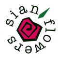 sianflowerslogo